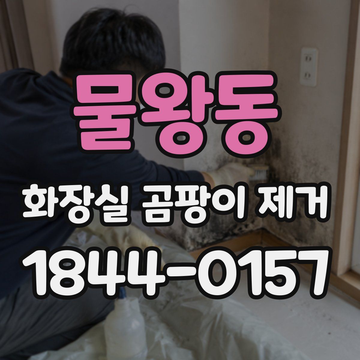 물왕동 화장실 곰팡이 제거