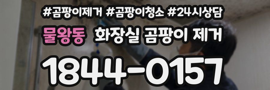 물왕동 화장실 곰팡이 제거
