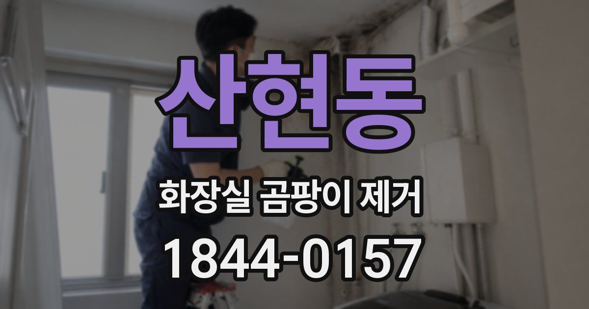 산현동 화장실 곰팡이 제거