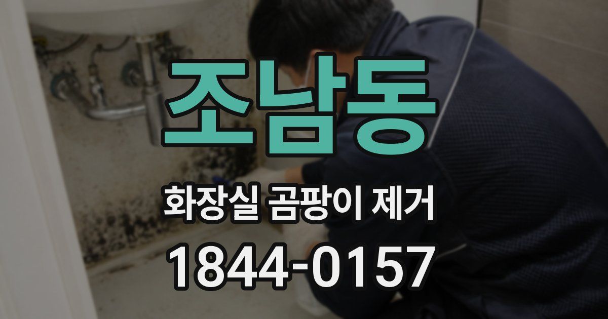 조남동 화장실 곰팡이 제거