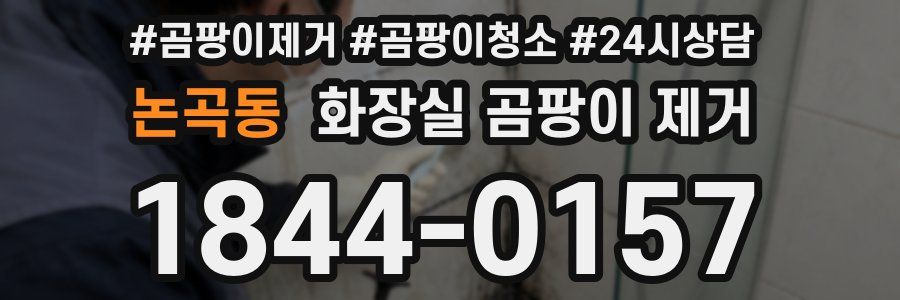 논곡동 화장실 곰팡이 제거
