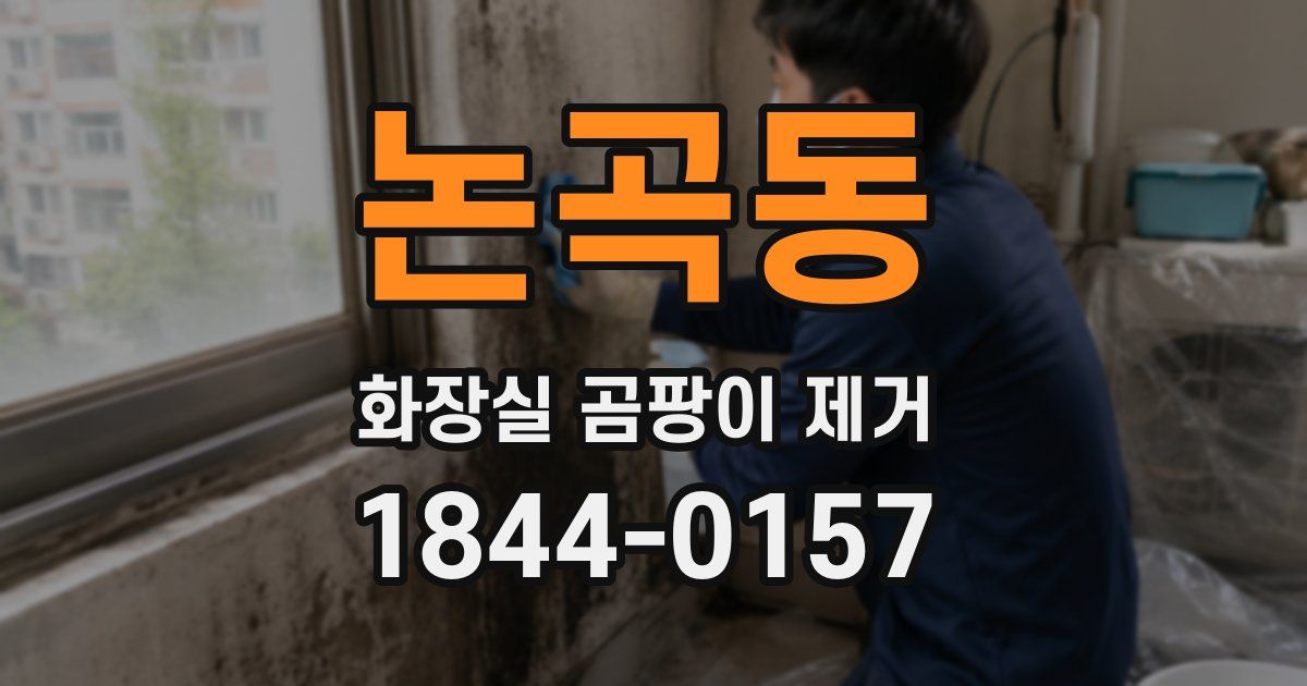 논곡동 화장실 곰팡이 제거