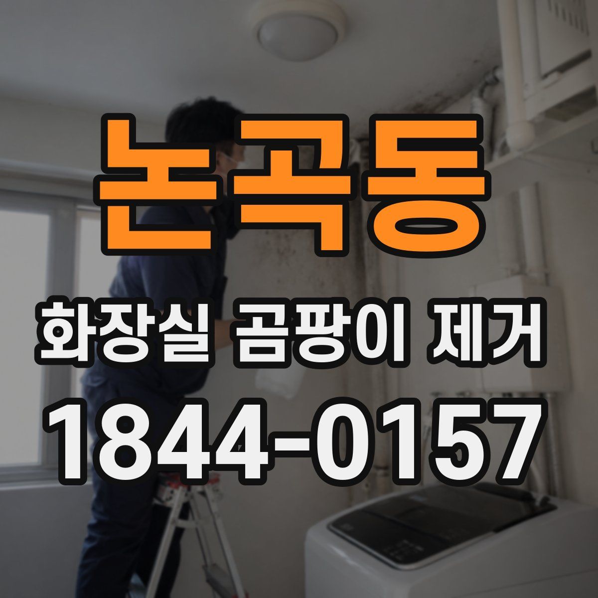 논곡동 화장실 곰팡이 제거