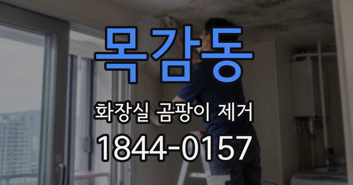 목감동 화장실 곰팡이 제거