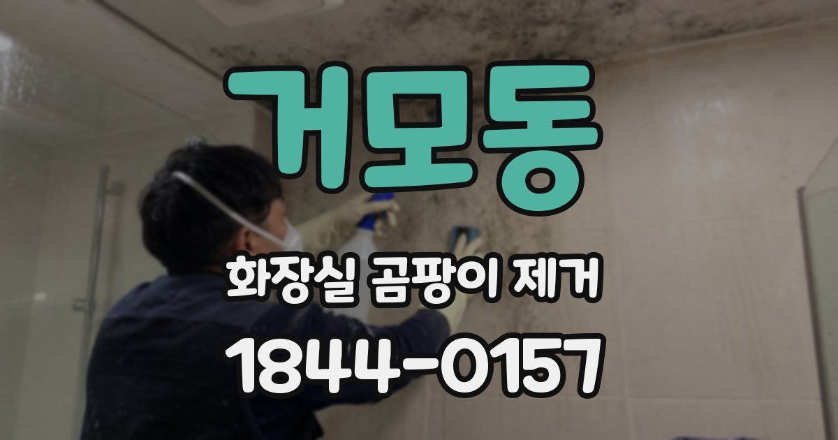 거모동 화장실 곰팡이 제거