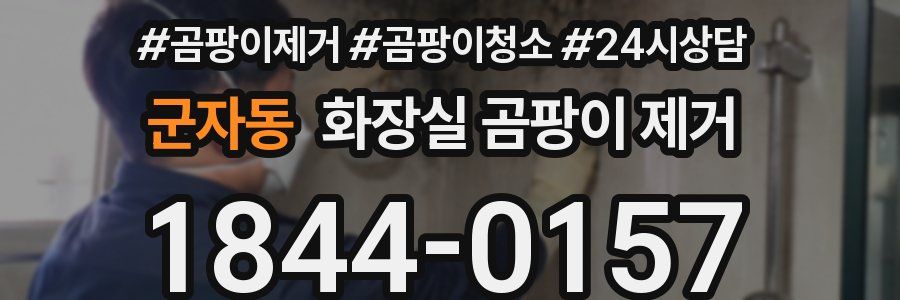 군자동 화장실 곰팡이 제거