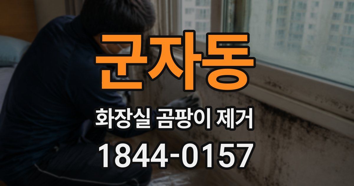 군자동 화장실 곰팡이 제거