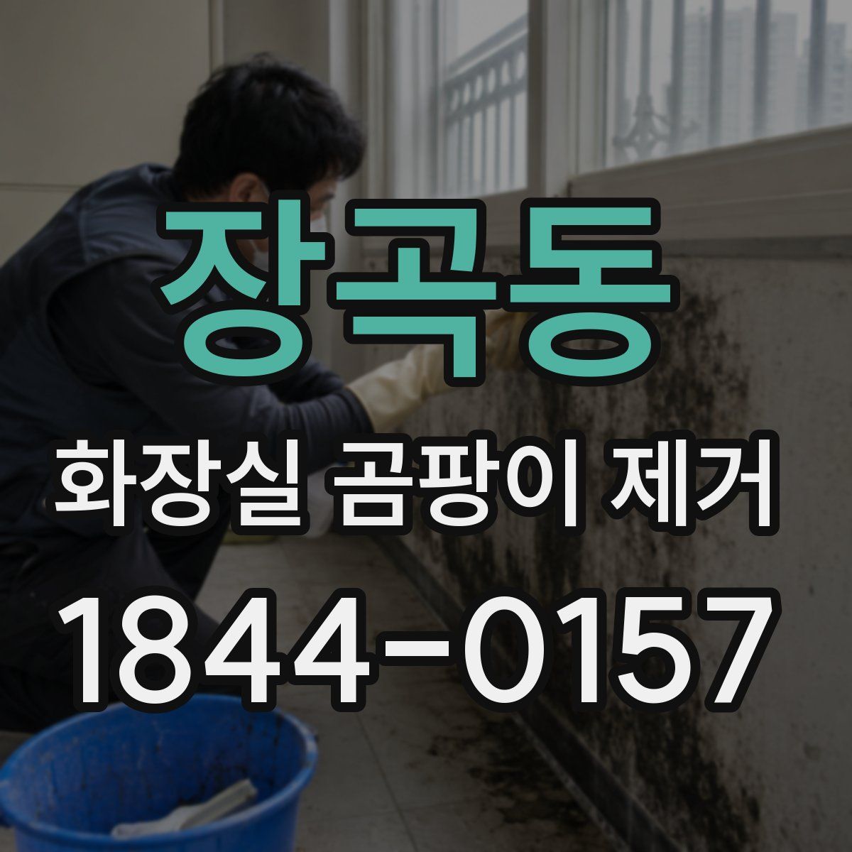 장곡동 화장실 곰팡이 제거