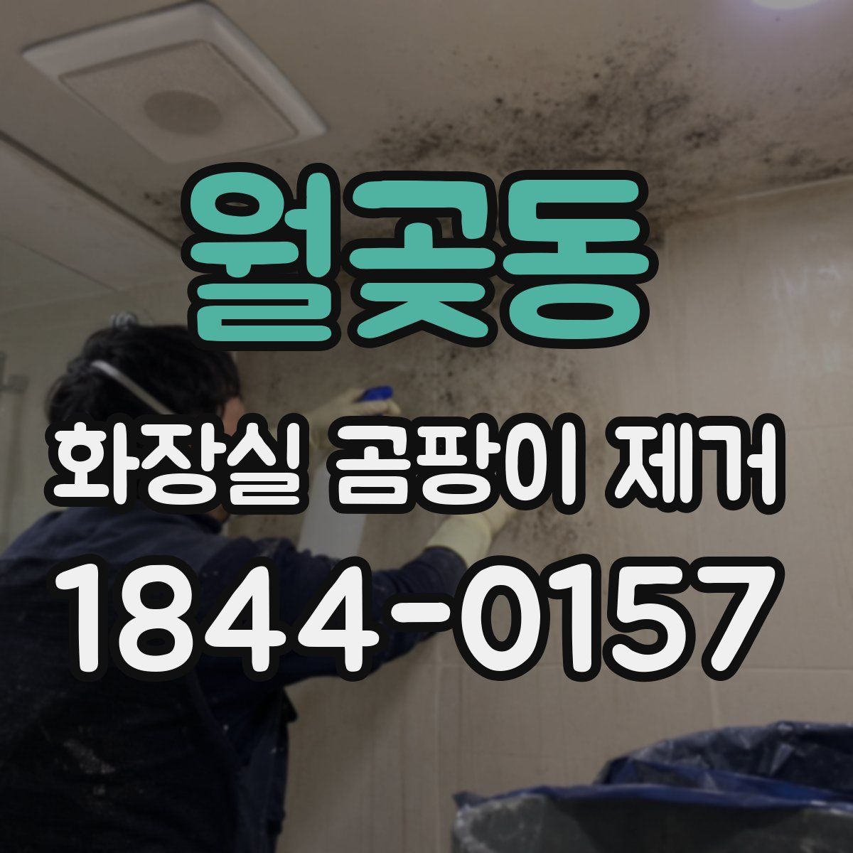 월곶동 화장실 곰팡이 제거