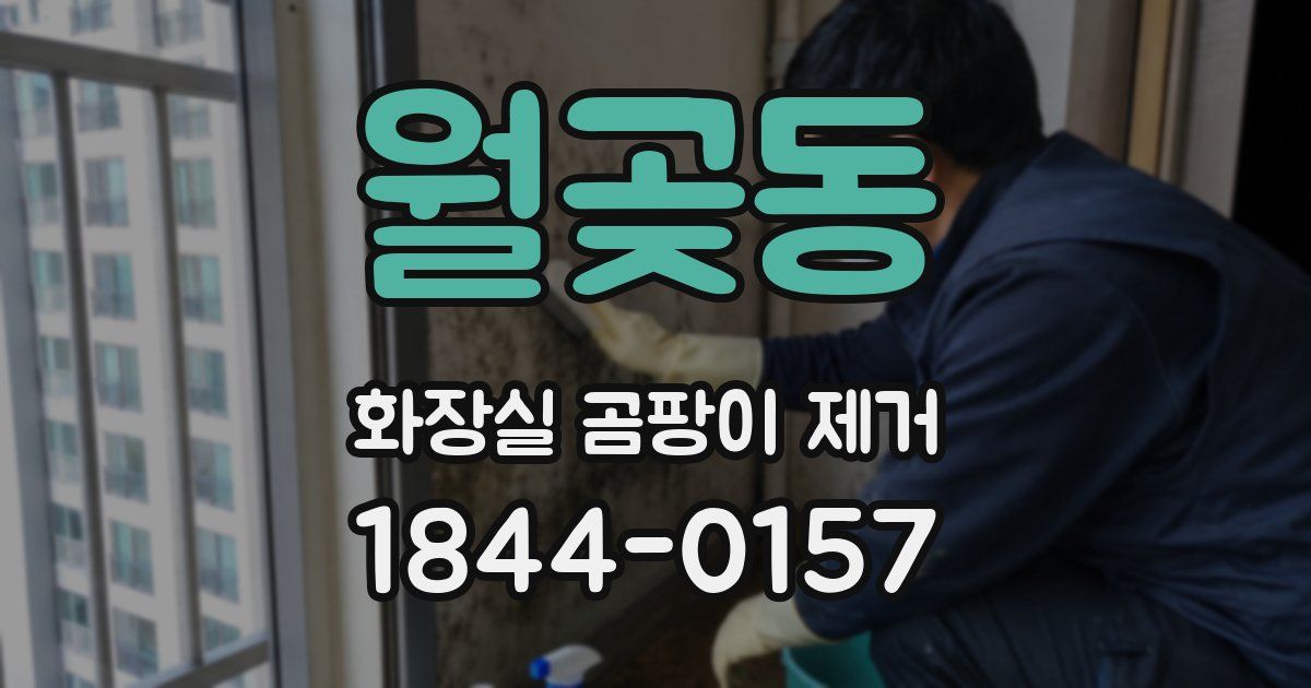월곶동 화장실 곰팡이 제거