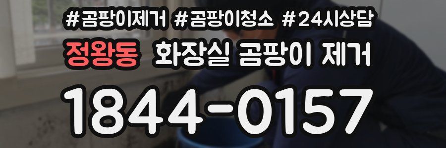 정왕동 화장실 곰팡이 제거