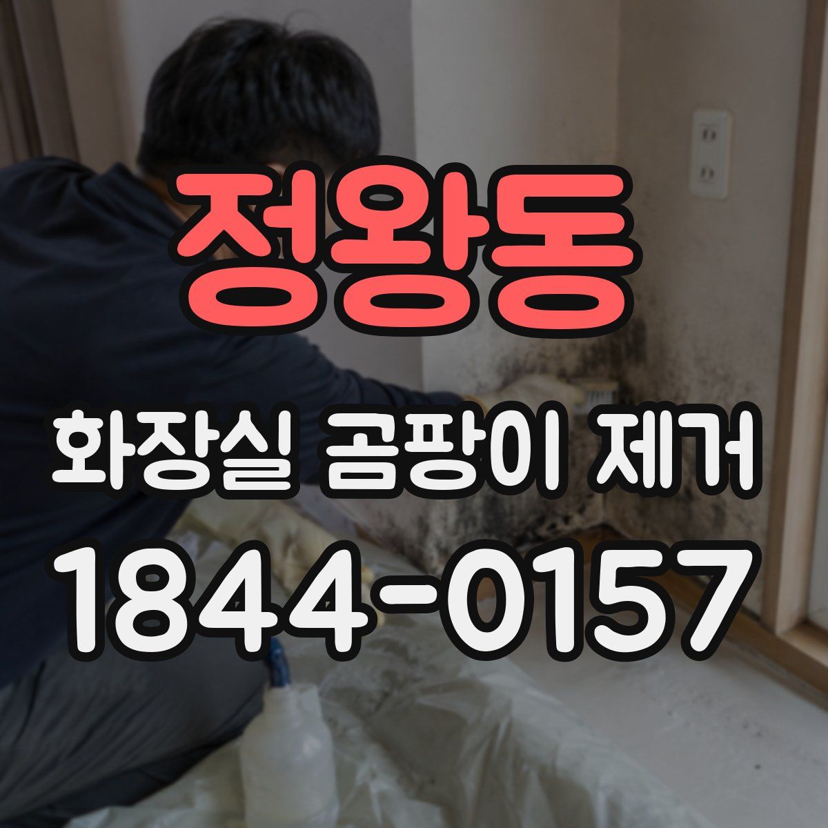 정왕동 화장실 곰팡이 제거