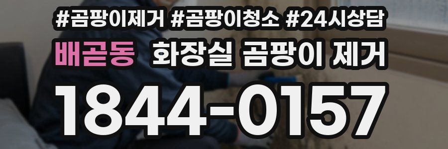 배곧동 화장실 곰팡이 제거