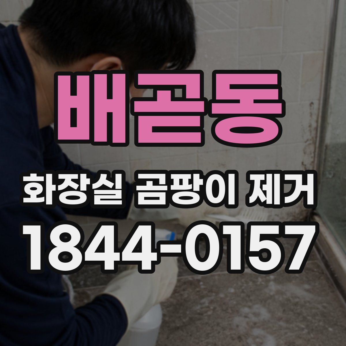 배곧동 화장실 곰팡이 제거