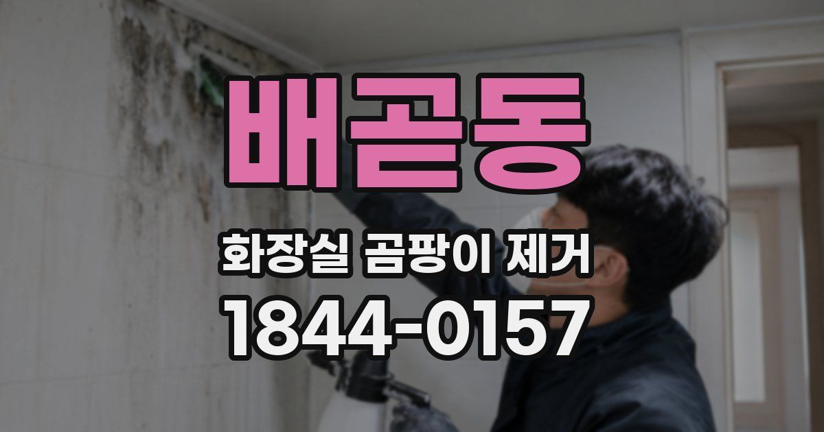배곧동 화장실 곰팡이 제거