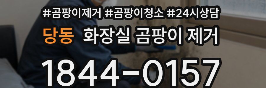 당동 화장실 곰팡이 제거