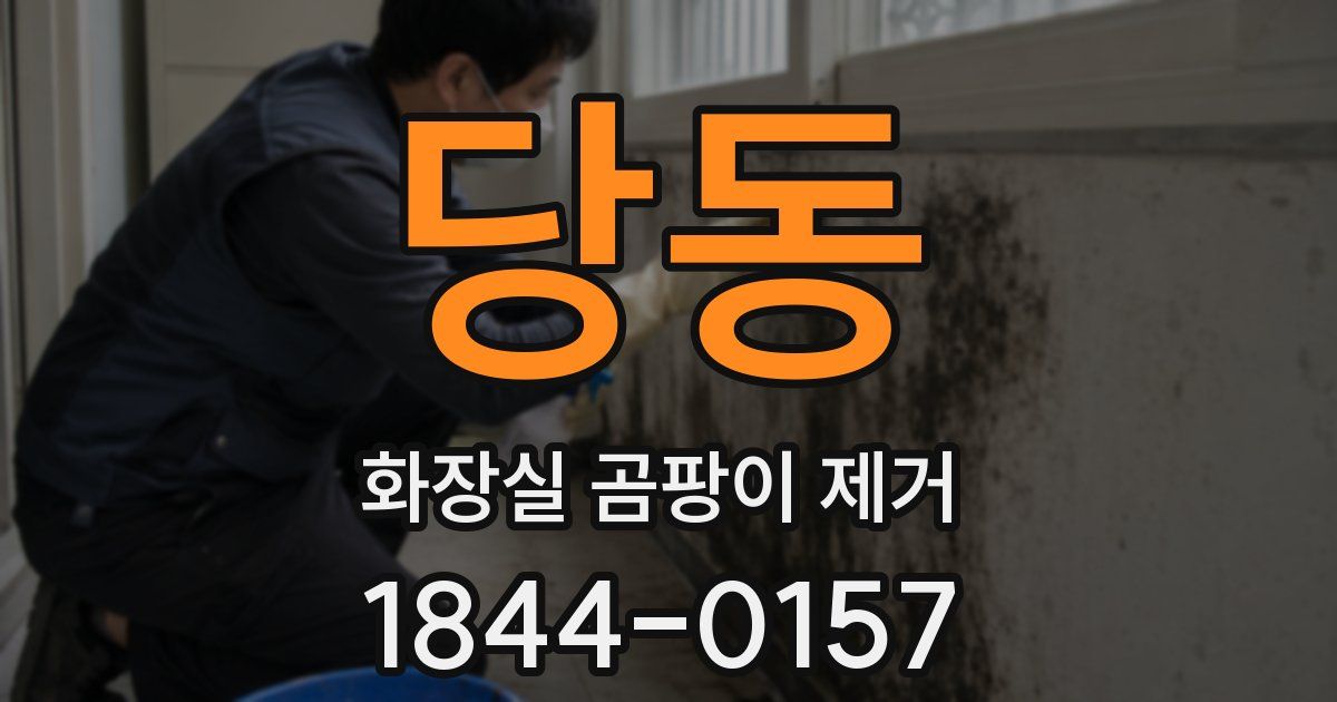 당동 화장실 곰팡이 제거