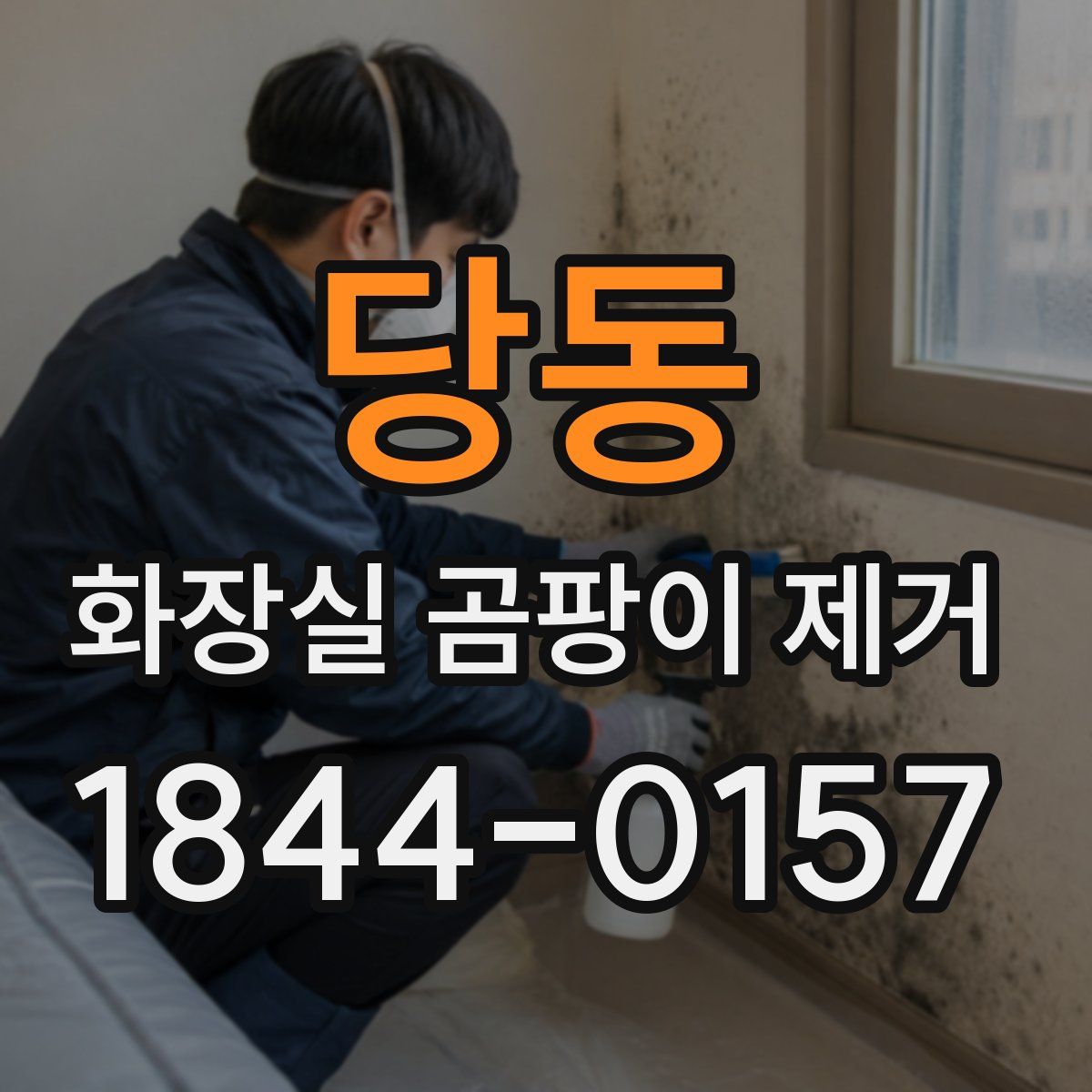 당동 화장실 곰팡이 제거