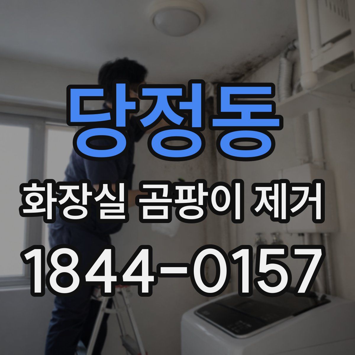 당정동 화장실 곰팡이 제거