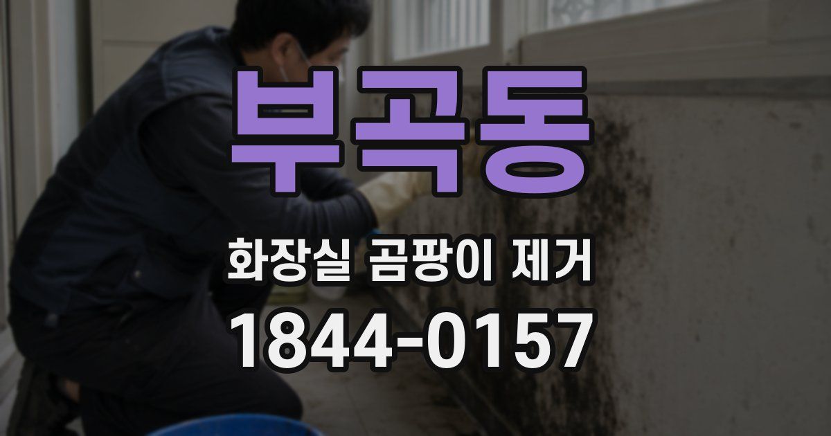 부곡동 화장실 곰팡이 제거