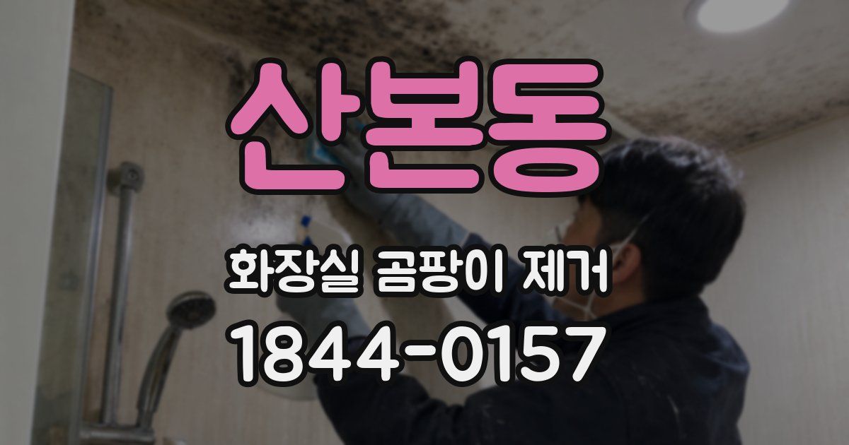 산본동 화장실 곰팡이 제거