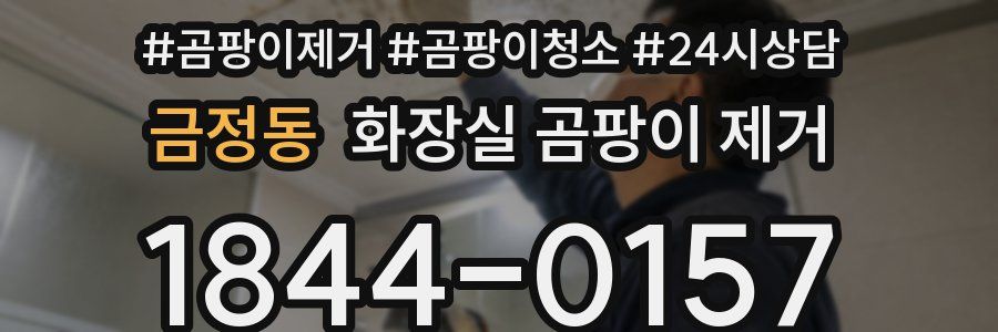 금정동 화장실 곰팡이 제거