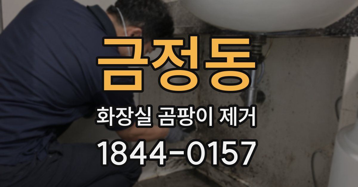 금정동 화장실 곰팡이 제거