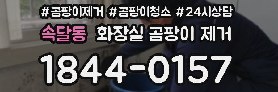 속달동 화장실 곰팡이 제거