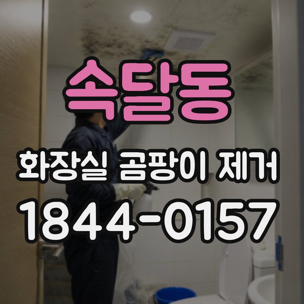 속달동 화장실 곰팡이 제거