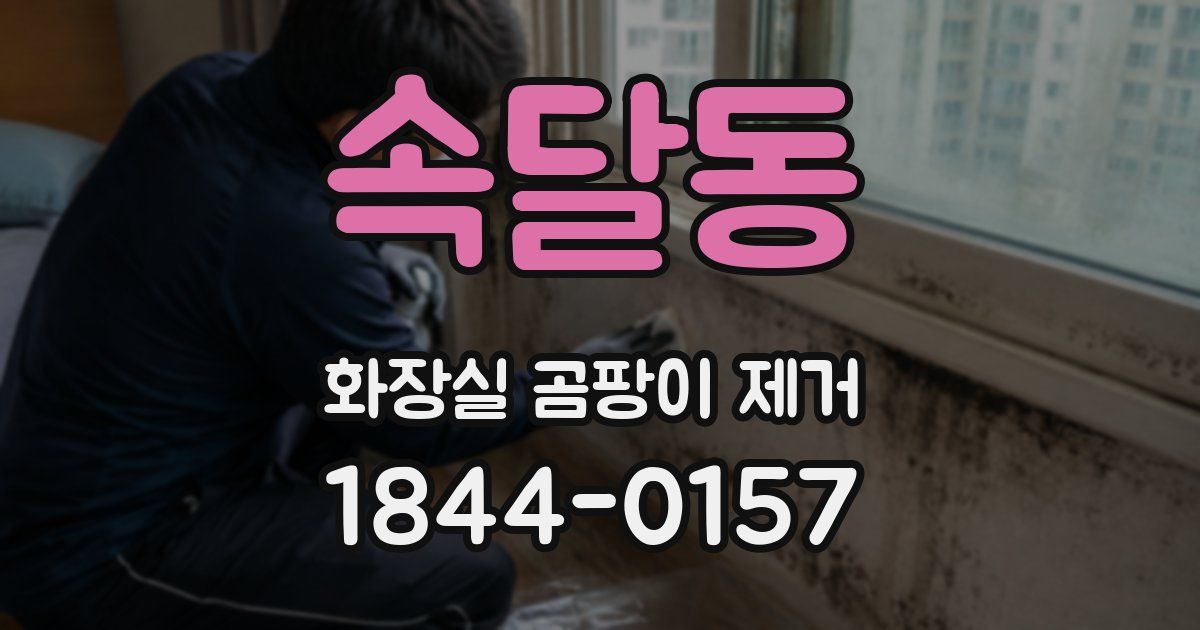 속달동 화장실 곰팡이 제거