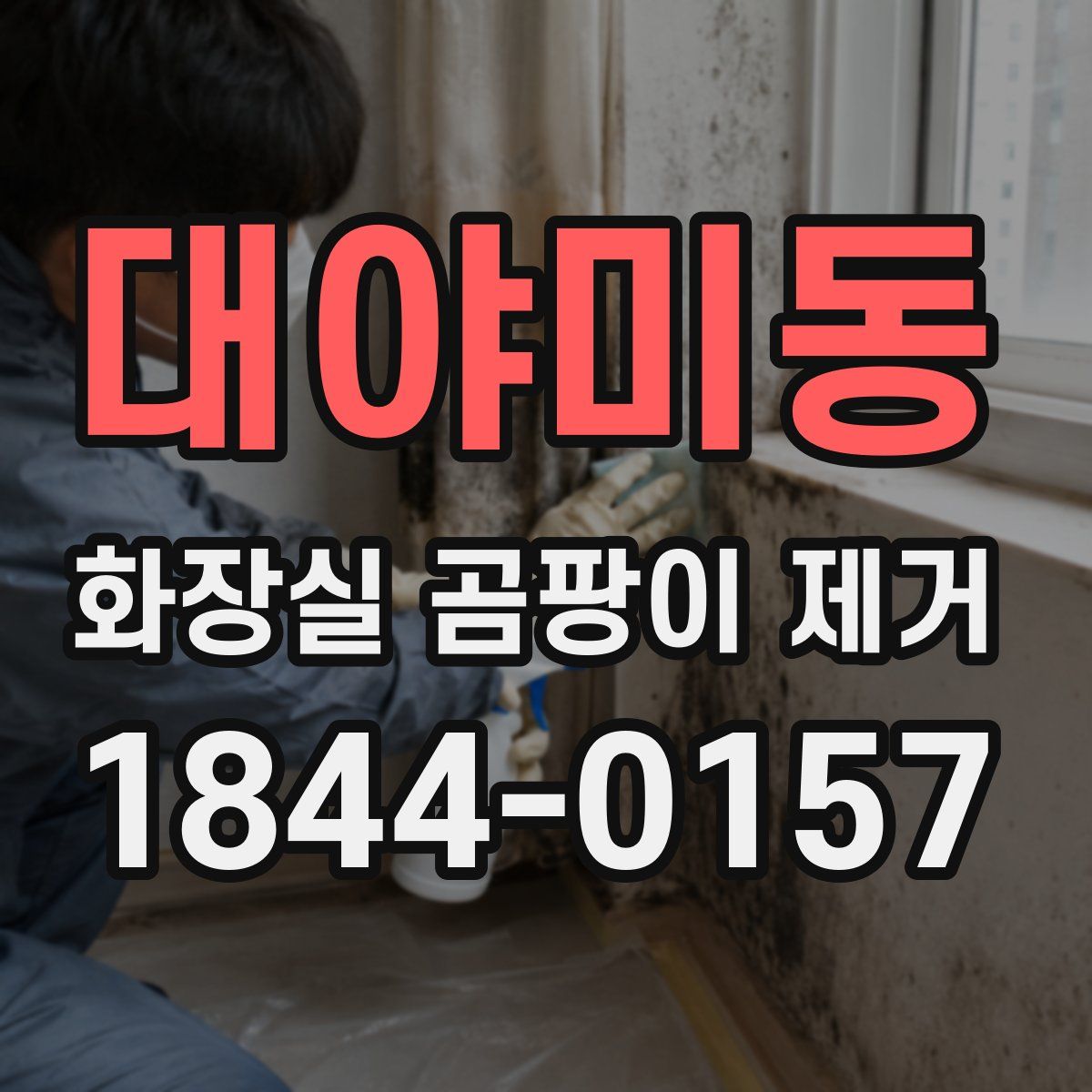 대야미동 화장실 곰팡이 제거