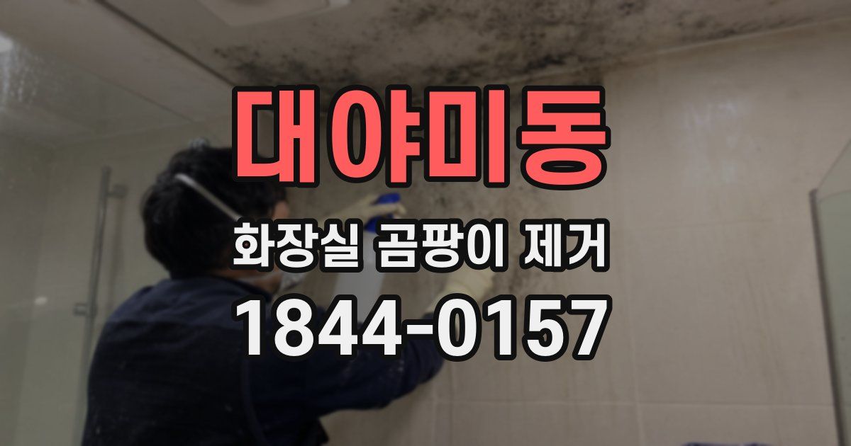 대야미동 화장실 곰팡이 제거