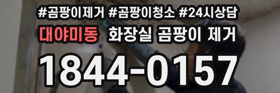 대야미동 화장실 곰팡이 제거