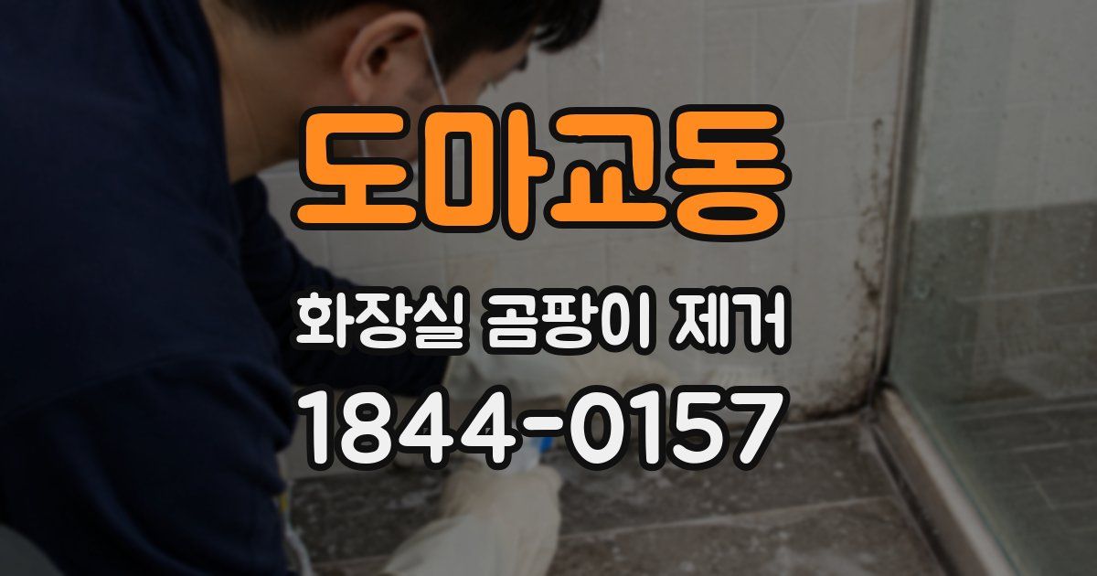 도마교동 화장실 곰팡이 제거