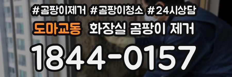 도마교동 화장실 곰팡이 제거