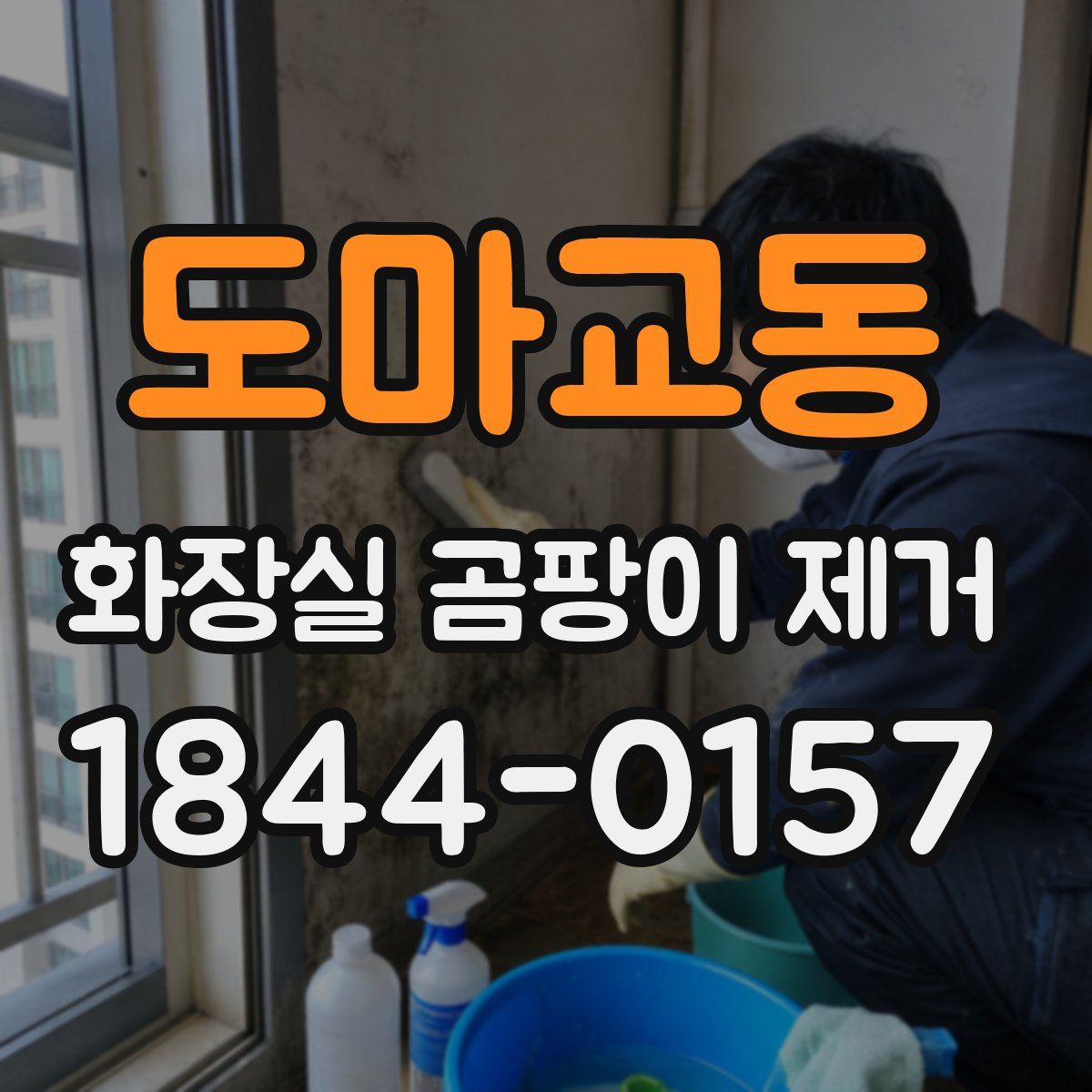 도마교동 화장실 곰팡이 제거