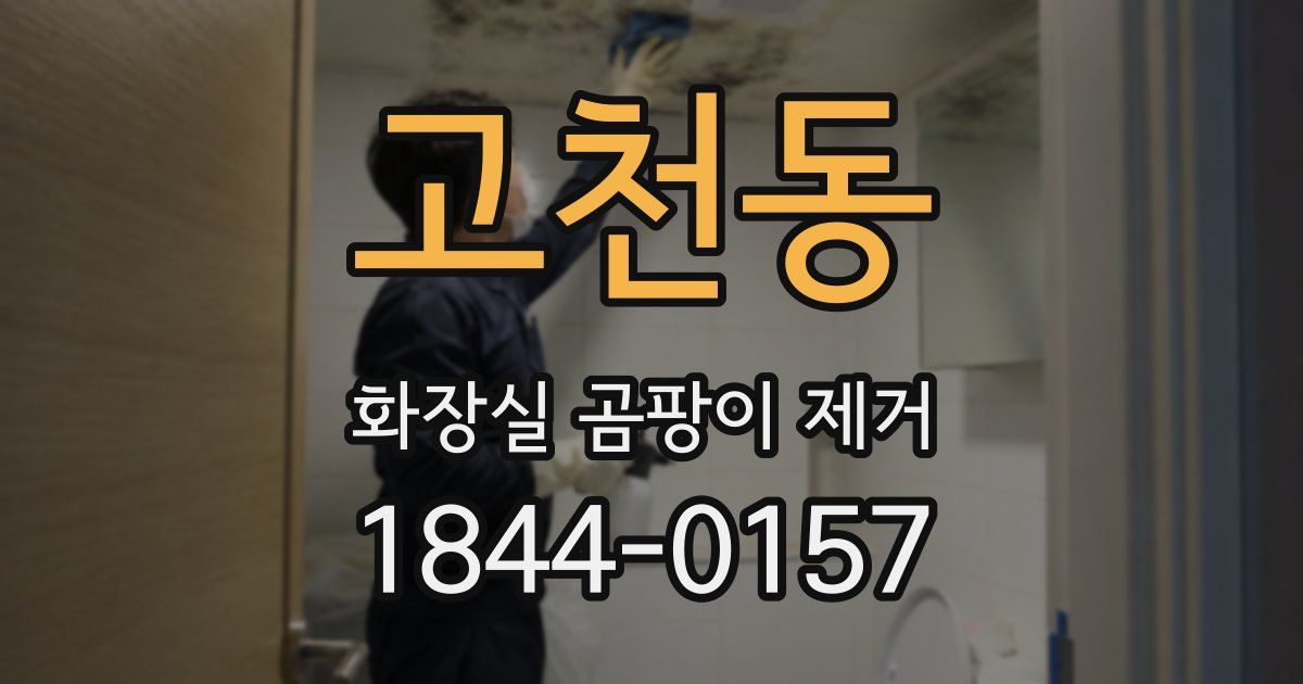 고천동 화장실 곰팡이 제거