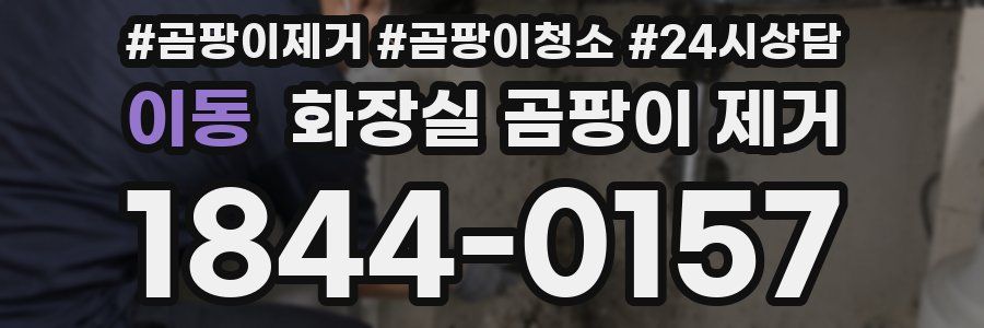이동 화장실 곰팡이 제거