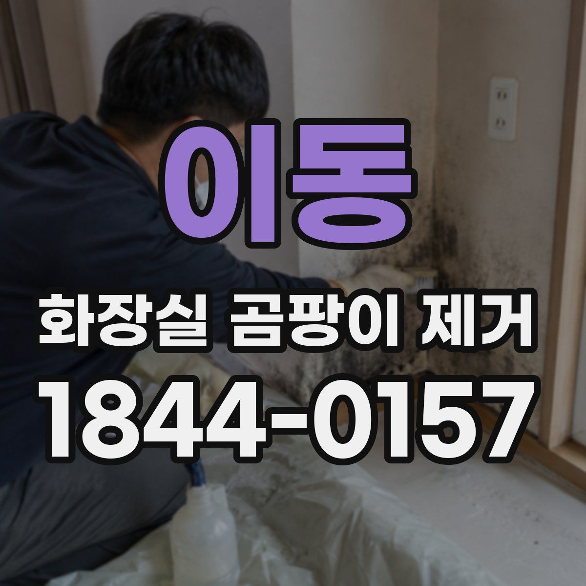 이동 화장실 곰팡이 제거
