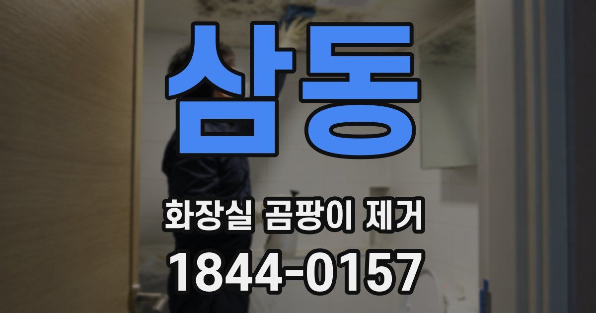 삼동 화장실 곰팡이 제거