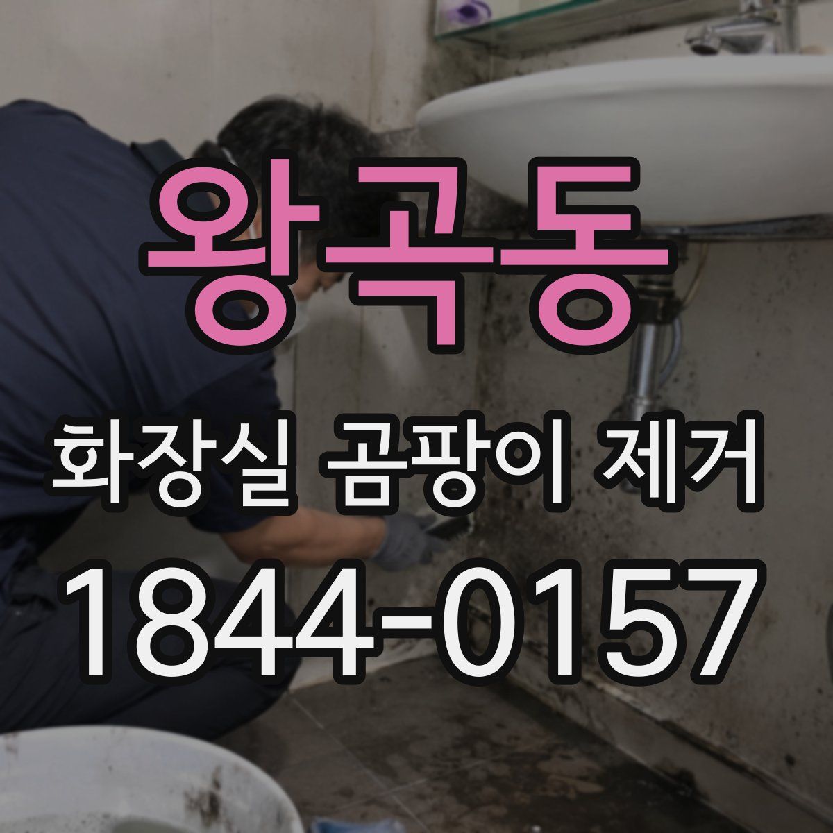 왕곡동 화장실 곰팡이 제거