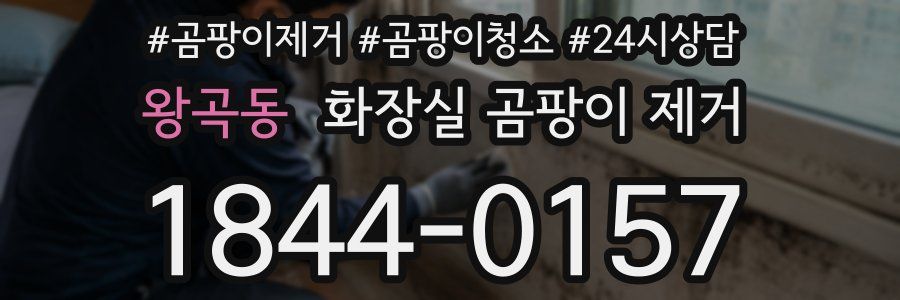왕곡동 화장실 곰팡이 제거