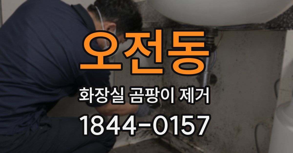 오전동 화장실 곰팡이 제거