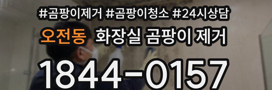 오전동 화장실 곰팡이 제거