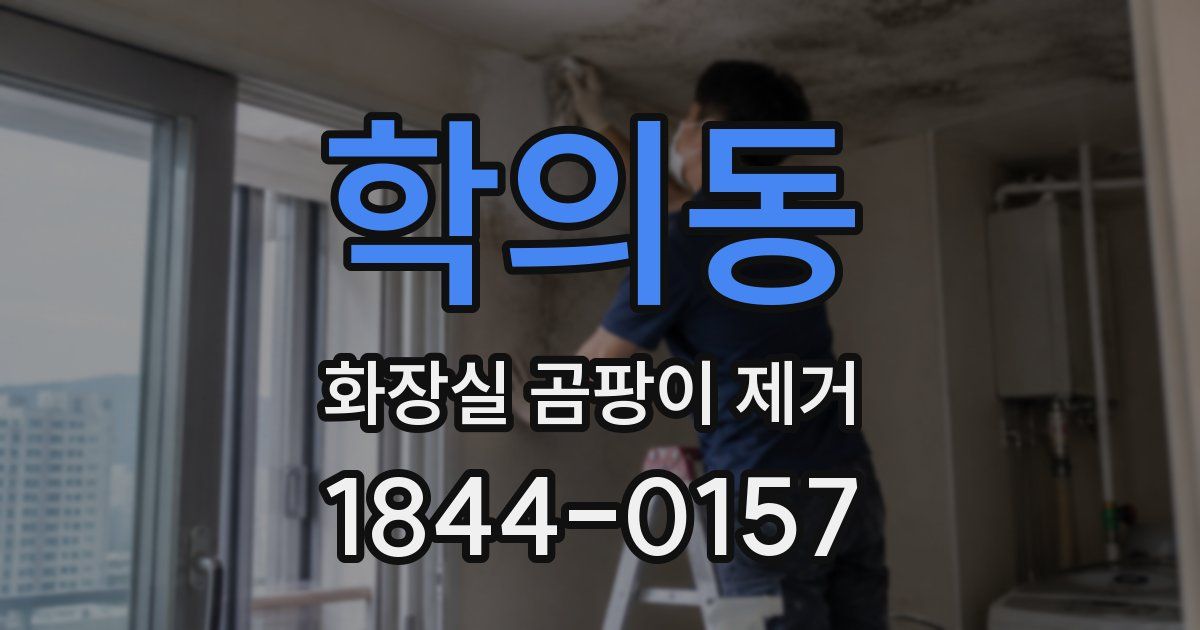 학의동 화장실 곰팡이 제거