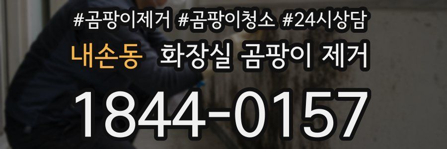 내손동 화장실 곰팡이 제거