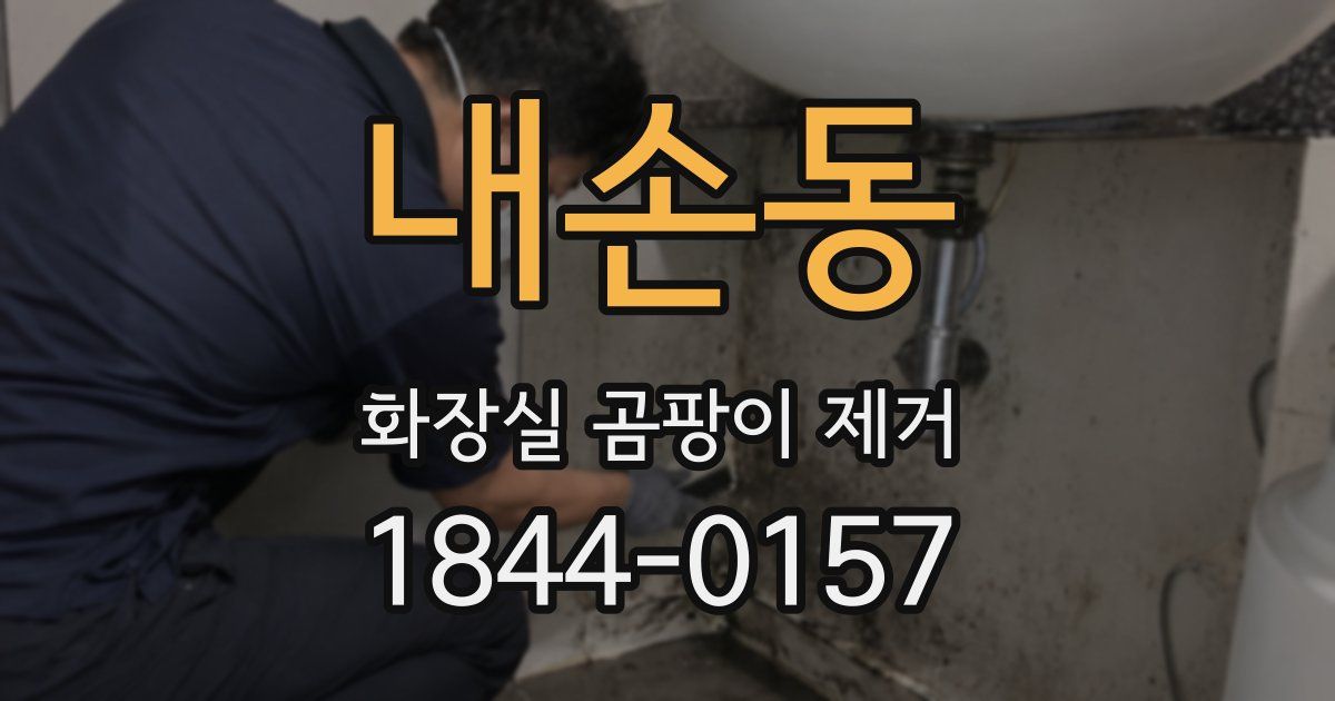 내손동 화장실 곰팡이 제거