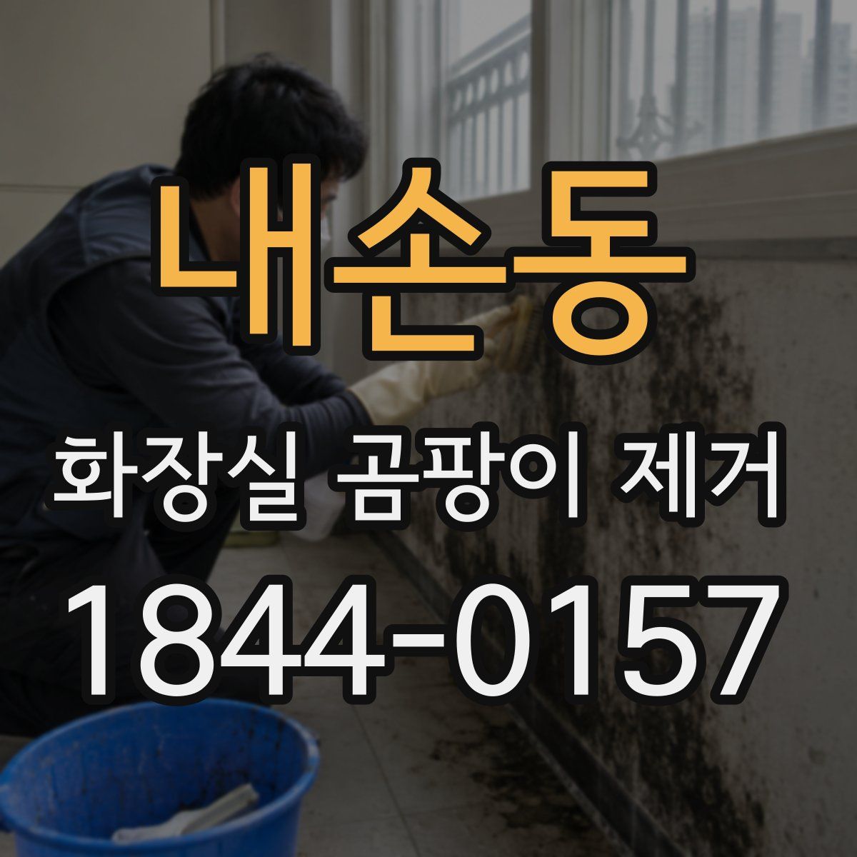 내손동 화장실 곰팡이 제거