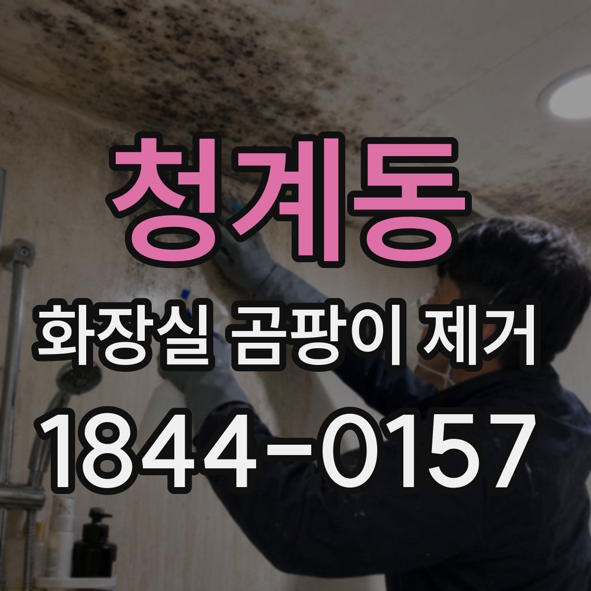청계동 화장실 곰팡이 제거
