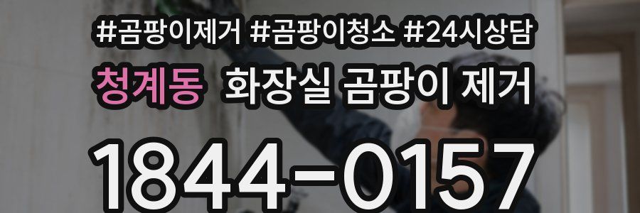 청계동 화장실 곰팡이 제거
